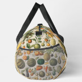 Fruit plantaardige botanische wetenschappelijke il plunjezak (Rechts)