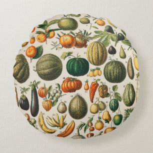 Fruit plantaardige botanische wetenschappelijke il rond kussen