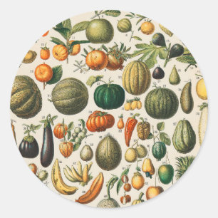 Fruit plantaardige botanische wetenschappelijke il ronde sticker