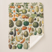 Fruit plantaardige botanische wetenschappelijke il sherpa deken (Voorkant)