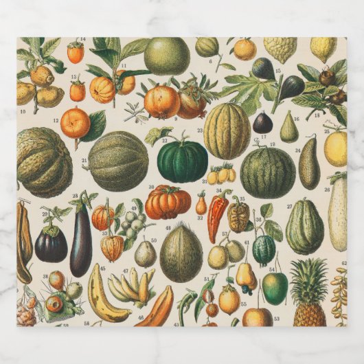 Fruit plantaardige botanische wetenschappelijke il sparkling wijnetiket (Enkel label)