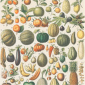 Fruit plantaardige botanische wetenschappelijke il sticker (Voorkant)