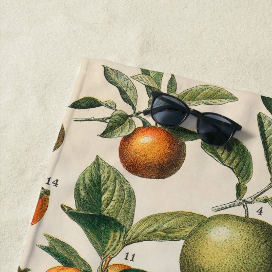 Fruit plantaardige botanische wetenschappelijke il strandlaken (In situ)