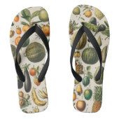 Fruit plantaardige botanische wetenschappelijke il teenslippers (Voetbed)
