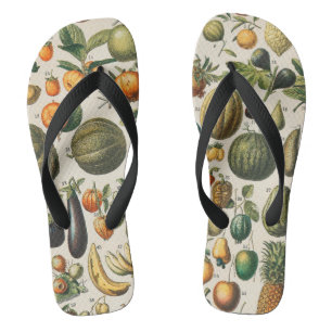 Fruit plantaardige botanische wetenschappelijke il teenslippers