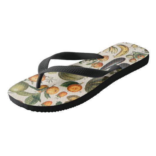 Fruit plantaardige botanische wetenschappelijke il teenslippers (Schuin)