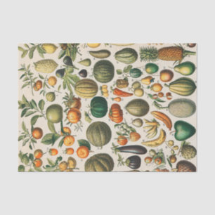 Fruit plantaardige botanische wetenschappelijke il tissuepapier