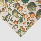 Fruit plantaardige botanische wetenschappelijke il tissuepapier (Detail)