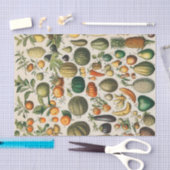 Fruit plantaardige botanische wetenschappelijke il tissuepapier (Craft)