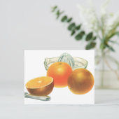 fruit, rijpe Sinaasappels, ontbijt (Staand voorkant)