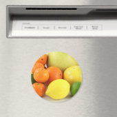 Fruit, Sinaasappel, lemon en meloenen Koelkast Mag Magneet (Insitu (Vaatwasser))