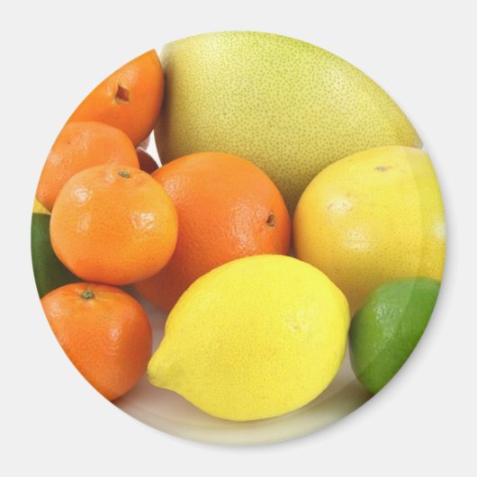 Fruit, Sinaasappel, lemon en meloenen Koelkast Mag Magneet (Voorkant)