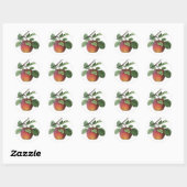 Fruit Stickers (Vel)