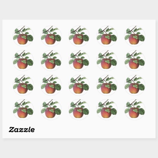  Fruit Stickers (Vel)