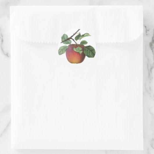  Fruit Stickers (Tas)