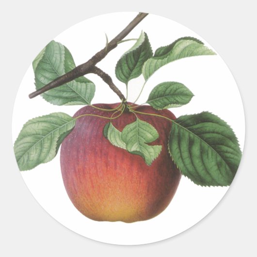 Fruit Stickers (Voorkant)