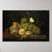 Fruit Study Poster (Voorkant)