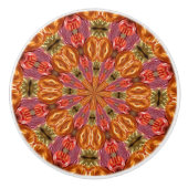 Fruit Swirl Cabinet Knob Keramische Knop (Voorkant)