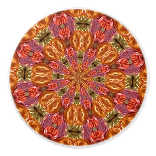 Fruit Swirl Cabinet Knob Keramische Knop (Voorkant)