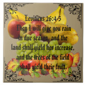 FRUIT TEGELTJE (Voorkant)