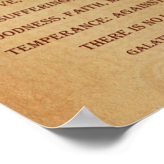 Fruit van gedistilleerde dranken poster (Hoek)