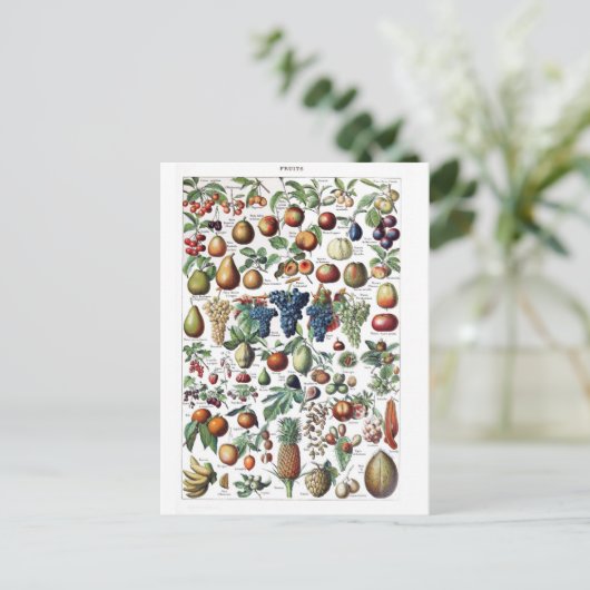 Fruit Vegetable Farmer  Botanisch Briefkaart (Staand voorkant)