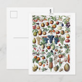 Fruit Vegetable Farmer  Botanisch Briefkaart (Voorkant / Achterkant)