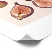 FRUIT WALL ART POSTER (Hoek)