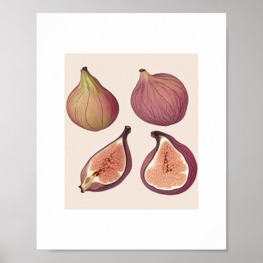 FRUIT WALL ART POSTER (Voorkant)