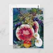 Fruit Watermelon Grape Apple Still life Briefkaart (Voorkant / Achterkant)