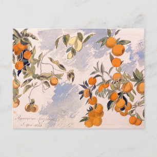Fruitbomen - Edward Lear Briefkaart
