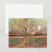 Fruitboomgaard in bloei, Pruimenbomen door Vincent (Voorkant / Achterkant)