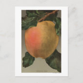 Fruitchroomafnemer van Belleflower Apple Briefkaart (Voorkant)