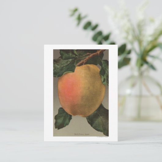 Fruitchroomafnemer van Belleflower Apple Briefkaart (Staand voorkant)