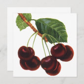  fruitgewassen, rijpe kersen van een boom (Voorkant / Achterkant)