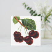  fruitgewassen, rijpe kersen van een boom (Staand voorkant)