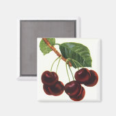  fruitgewassen, rijpe kersen van een boom magneet (Voorkant / Achterkant)