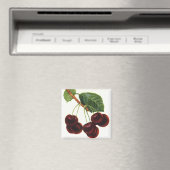  fruitgewassen, rijpe kersen van een boom magneet (Insitu (Vaatwasser))