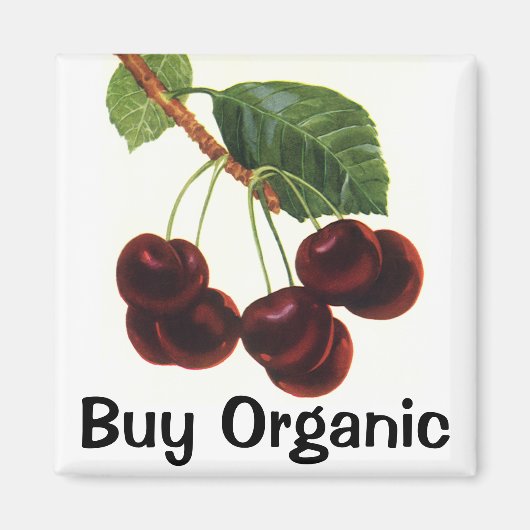  fruitgewassen, rijpe kersen van een boom magneet (Voorkant)