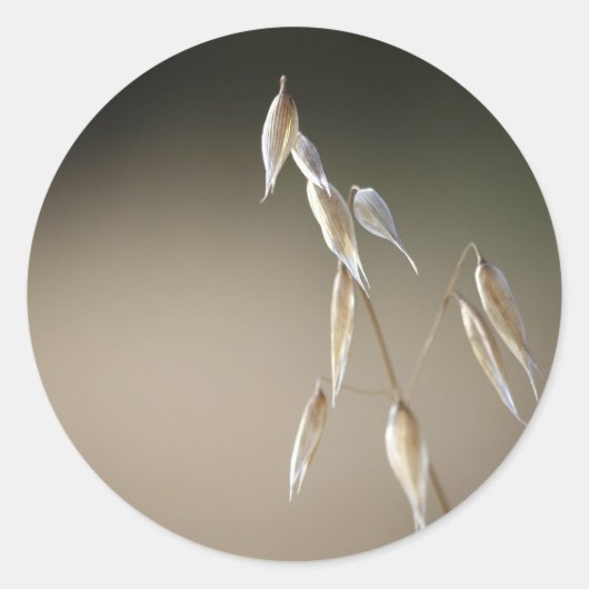 Fruiting Wild Oat envelop sealer Ronde Sticker (Voorkant)