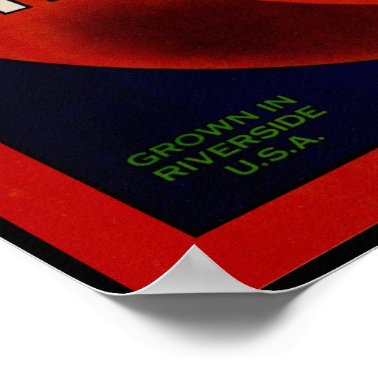  fruitkrat label Art Red Circle Sinaasappels Poster (Hoek)