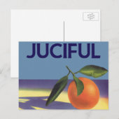 fruitkratelkunst, aantrekkelijke Sinaasappels Briefkaart (Voorkant / Achterkant)
