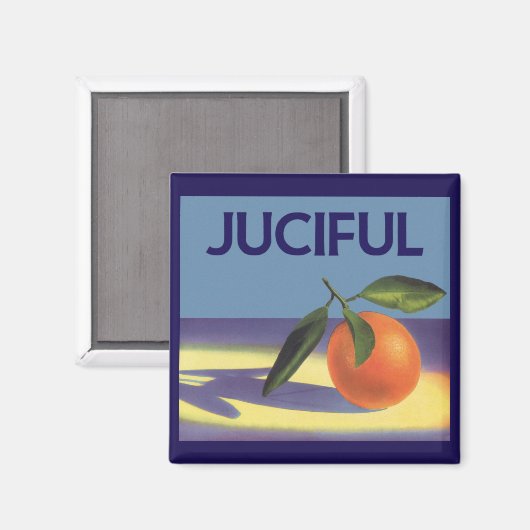  fruitkratelkunst, aantrekkelijke Sinaasappels Magneet (Voorkant / Achterkant)