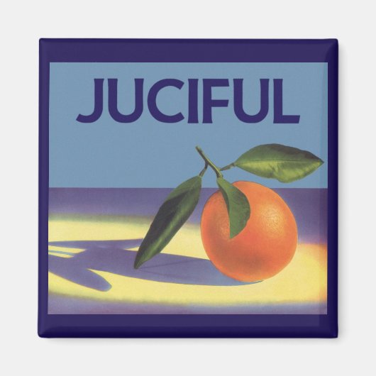 fruitkratelkunst, aantrekkelijke Sinaasappels Magneet (Voorkant)