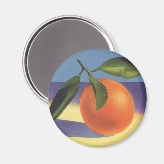  fruitkratelkunst, aantrekkelijke Sinaasappels Magneet (Voorkant / Achterkant)