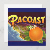  fruitkratelkunst, akoestische Sinaasappels (Voorkant / Achterkant)