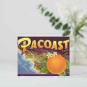 fruitkratelkunst, akoestische Sinaasappels Briefkaart (Staand voorkant)