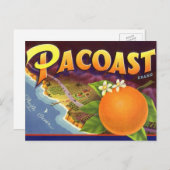 fruitkratelkunst, akoestische Sinaasappels Briefkaart (Voorkant / Achterkant)