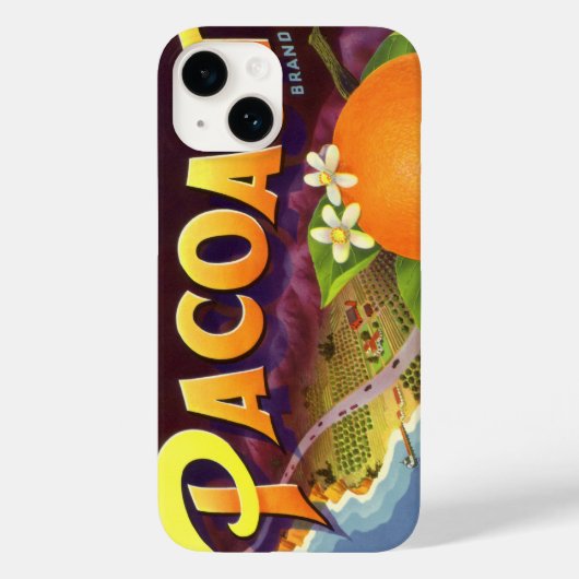 fruitkratelkunst, akoestische Sinaasappels Case-Mate iPhone Case (Achterkant)