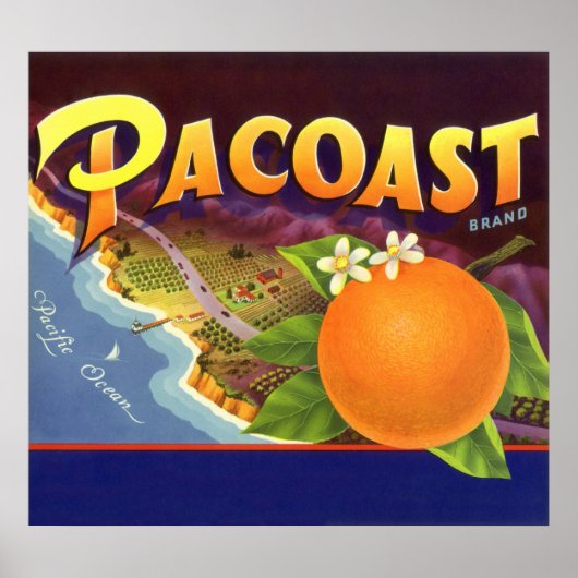  fruitkratelkunst, akoestische Sinaasappels Poster (Voorkant)